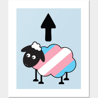 Transgender Sheep Of The Family LGBT Pride Posters and Art